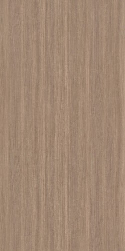 QSM539 中胡桃